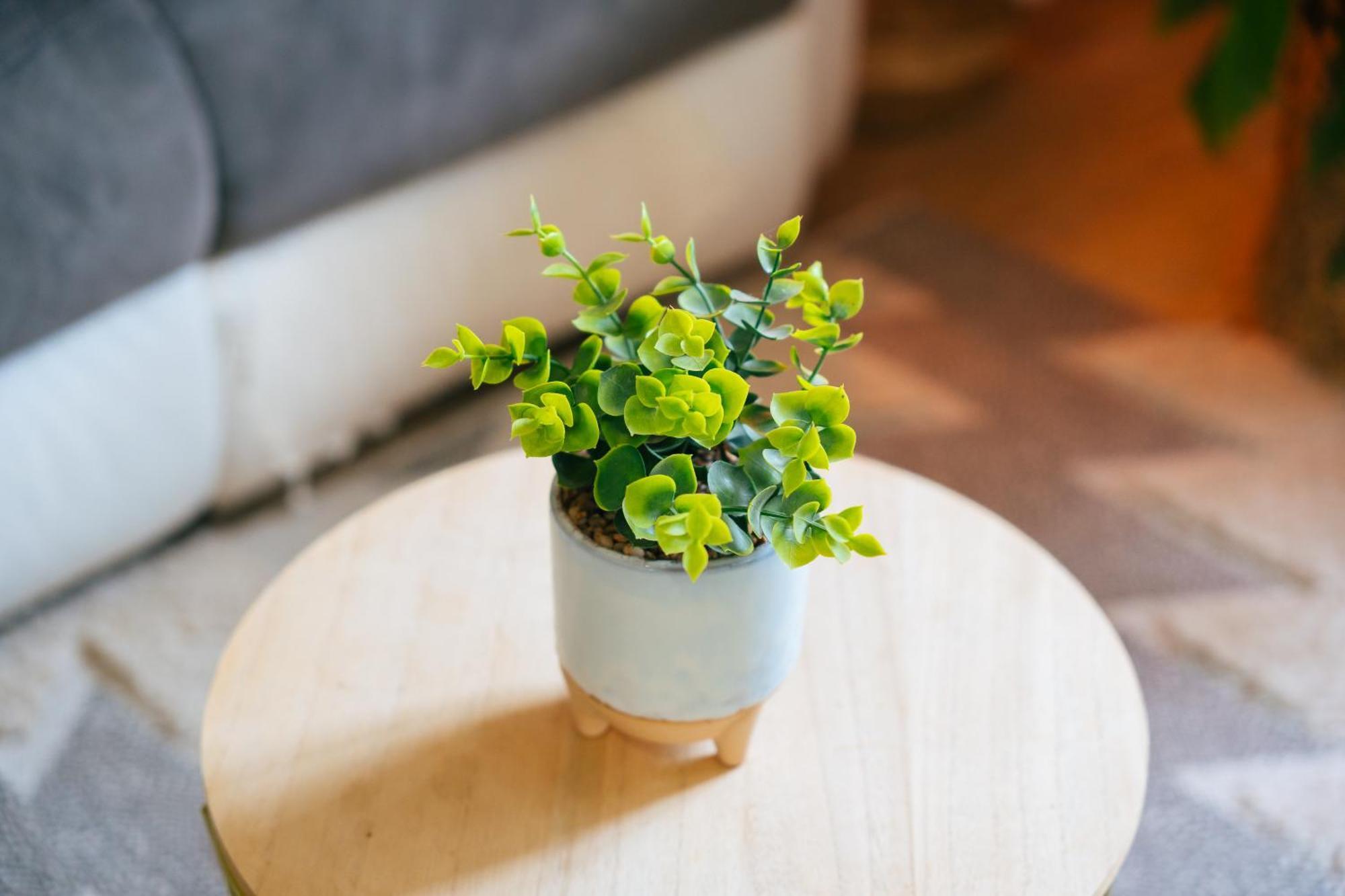 Appartement Du Bonheur Baguer-Pican Ngoại thất bức ảnh
